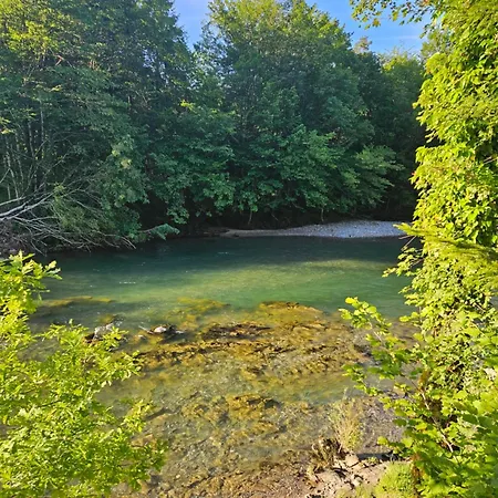 Twin Forest, Riverside