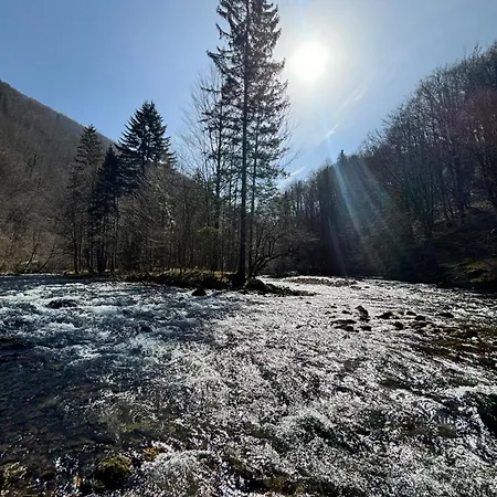公寓 Twin Forest, Riverside Brod na Kupi